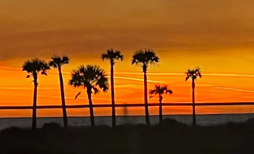 Apartment Shores Of Panama 1704 - 2 Bedroom Bunk Room Sleeps 8, Updated! Res, Parking Condo Panama City Beach United States